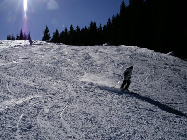 Daniela am Kogelboden