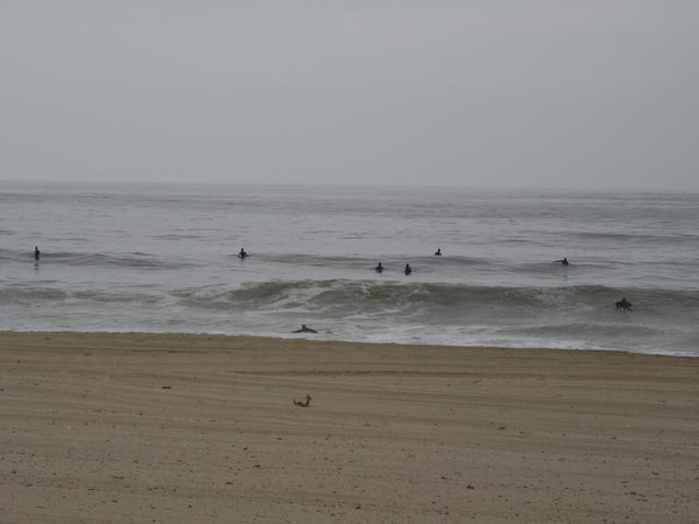 Huntington Beach (7. Mai)