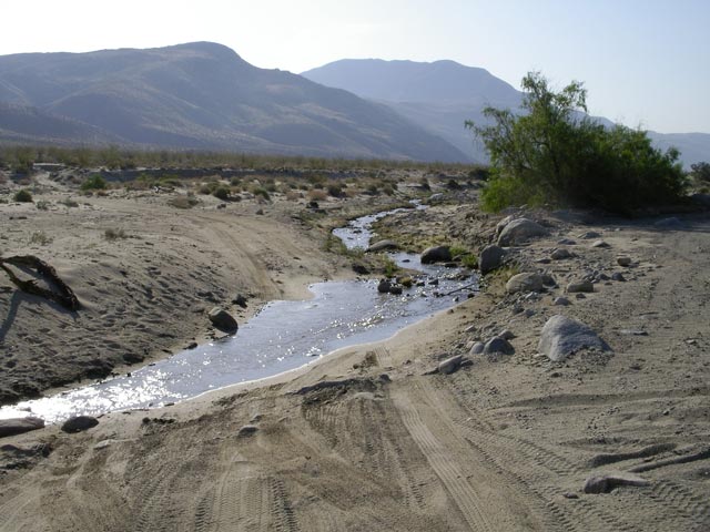 Coyote Creek am Lower Coyote Canyon Jeep Trail (10. Mai)