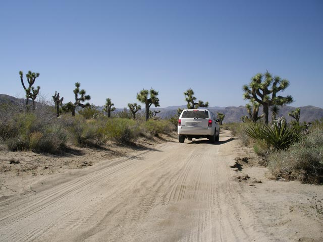 Berdoo Canyon Jeep Trail im Joshua Tree National Park (10. Mai)