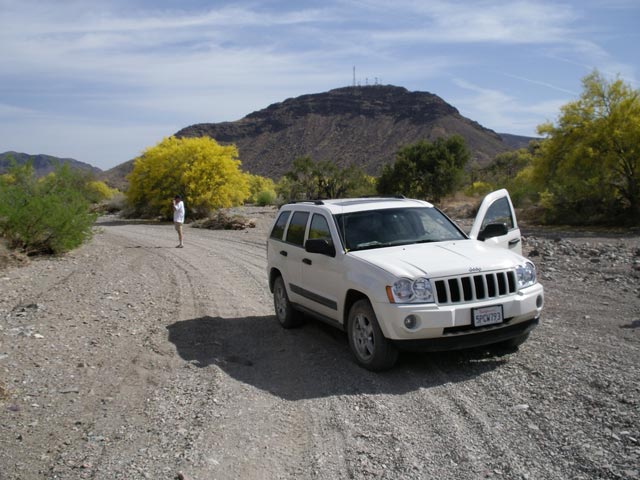 Papa in der Italian Wash am Dripping Springs Jeep Trail (11. Mai)