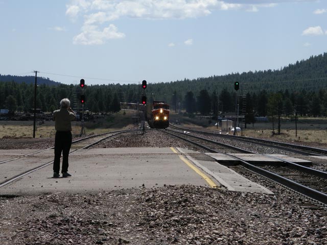 Herwig in Williams Junction (17. Mai)