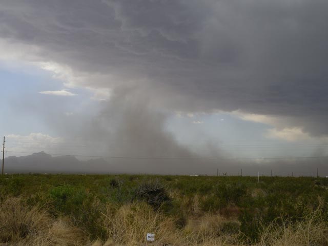 nördlich der US 66 zwischen Kingman und Oatman (17. Mai)