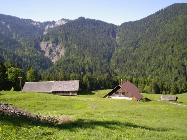 Popiswiesalpe (11. Juni)