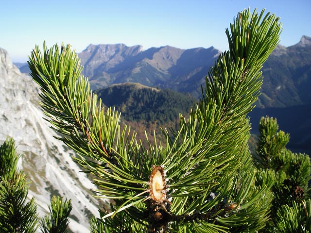 zwischen Hochkogel und Halskogel