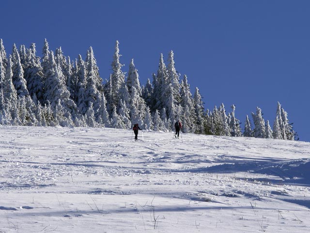 Kleiner &Ouml;tscher
