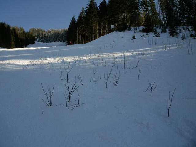 Gro&szlig;e &Ouml;tscherpiste