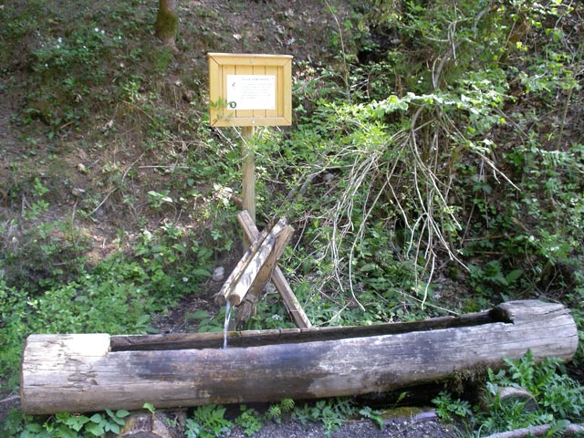 K&ouml;ck'n Br&uuml;nnerl