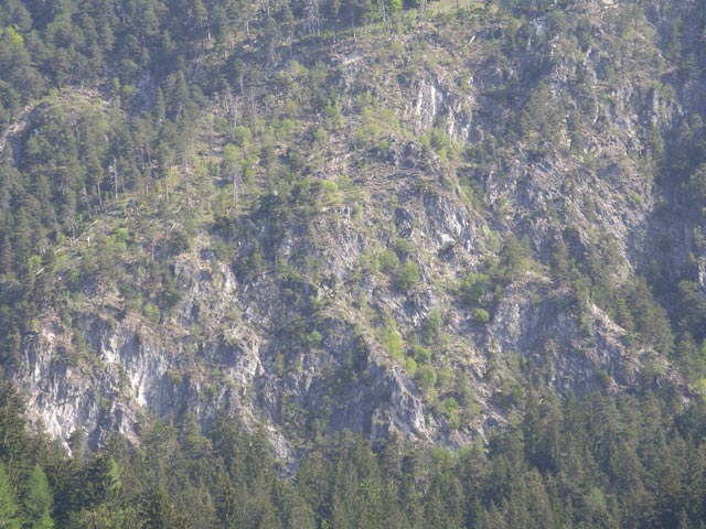 Hohe Wand von Obervellach aus
