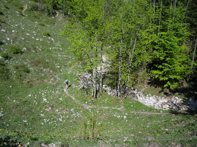 Andreas zwischen Sonntagkaralm und Oberer Sch&ouml;ffaualm