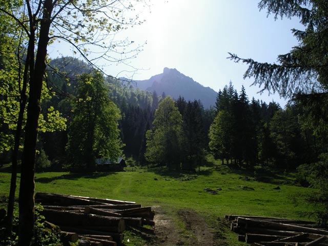 Obere Sch&ouml;ffaualm