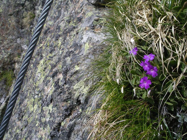 Klettersteig N&uuml;rnberger H&uuml;tte
