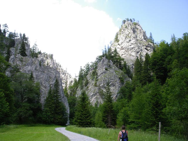 Rei&szlig;talklamm