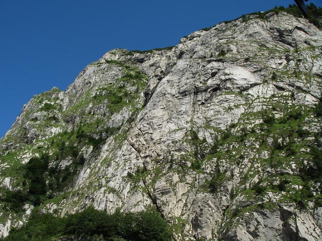 Kleiner Pal vom Pl&ouml;ckenpa&szlig; aus (10. Juli)