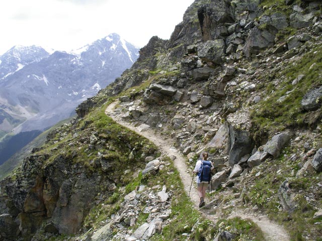 Daniela auf Weg 25a zwischen D&uuml;sseldorfer H&uuml;tte und Hinterem Sch&ouml;neck (21. Juli)