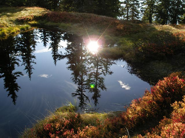 zwischen Hahnenkampl und Laubkogel (30. Sept.)