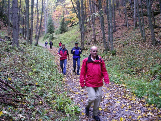 Peter, Anton, Michaela, Andreas, Hans und G&uuml;nter auf Weg im Mitterberggraben