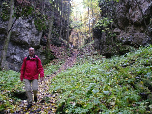 G&uuml;nter auf Weg 834 im Mitterberggraben