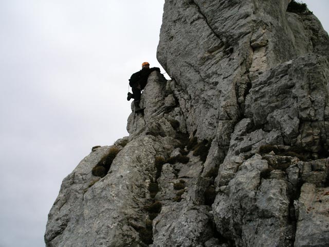 &Uuml;berschreitung: Erika