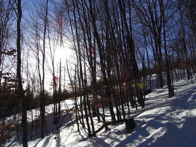 neben dem Karnerbodenlift
