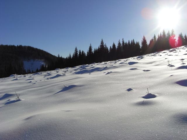 neben dem A. Steiner-Hang