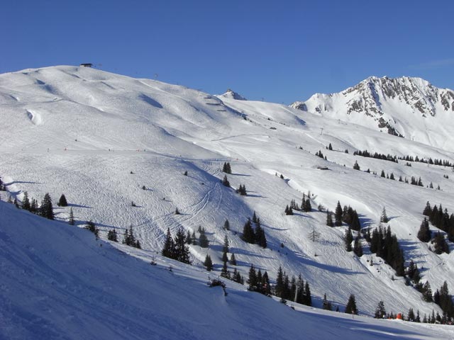 Hanglh&ouml;he (11. Feb.)