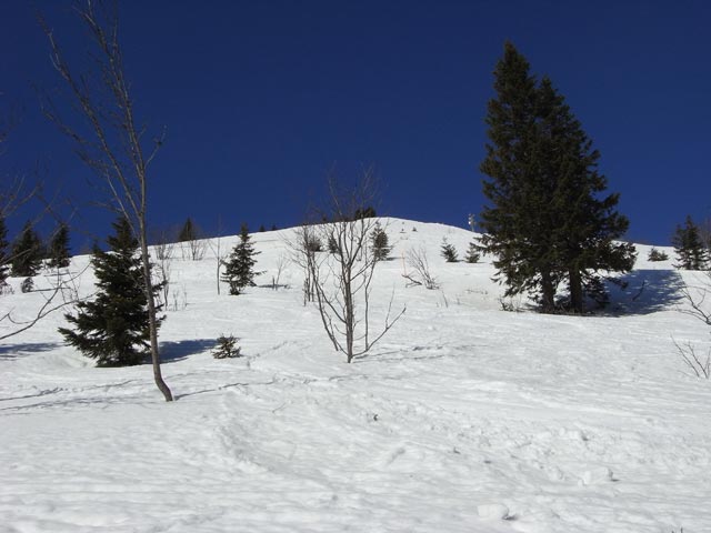 s&uuml;dlich des Gipfelhangs