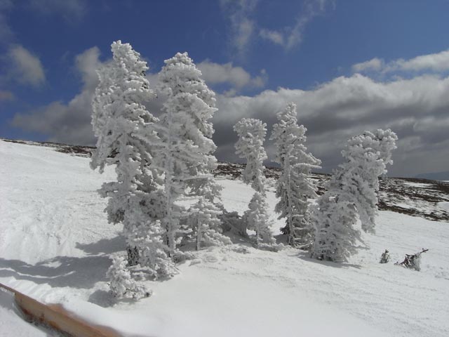 neben der Alm-Abfahrt