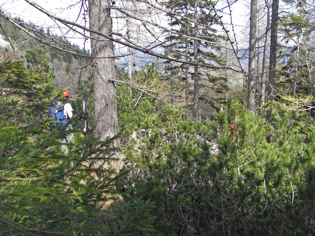 Daniela unterhalb der Breiten Ries