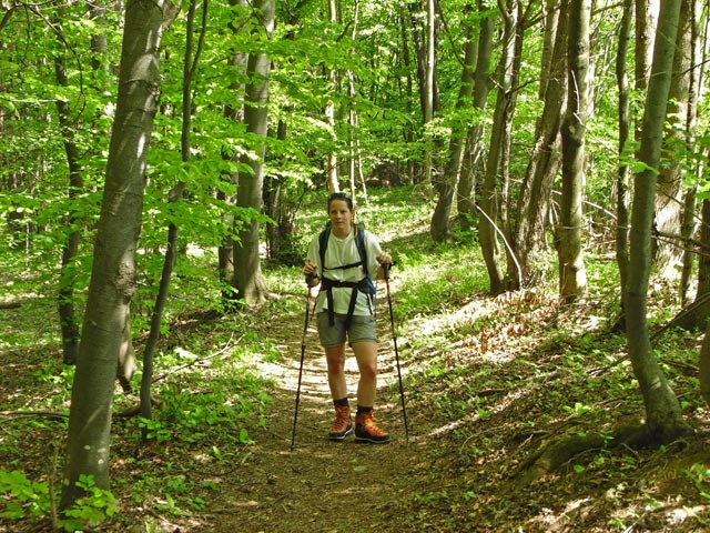 Daniela zwischen der Haltestelle Dreistetten und dem Zitherwirt
