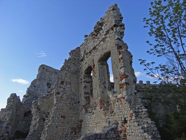Ruine Starhemberg