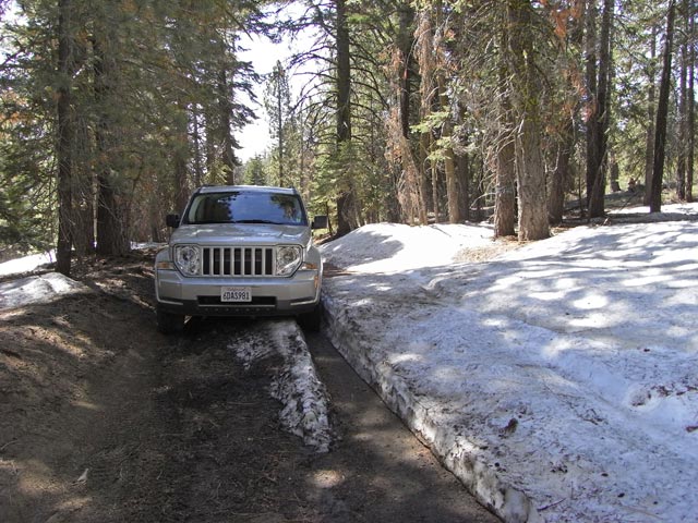 Saddle Springs Road im Sequoia National Forest (6. Mai)