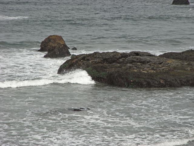 Pazifikk&uuml;ste in der San Simeon Bay (8. Mai)