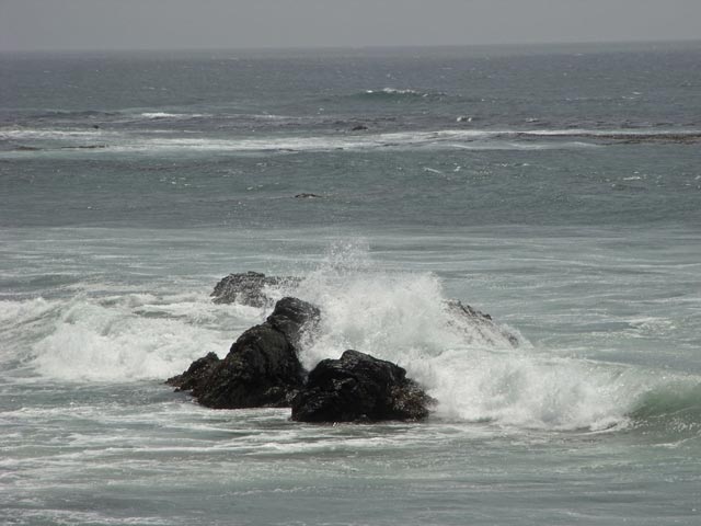 Pazifikk&uuml;ste zwischen Point San Simeon und Point Piedras Blancas (8. Mai)