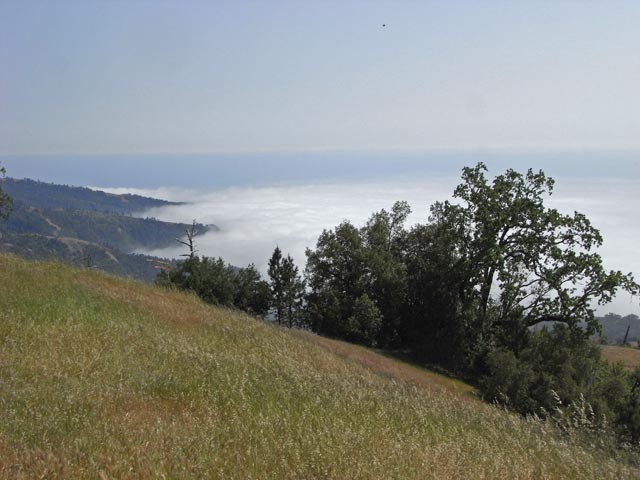 Pazifikk&uuml;ste von der Prewitt Ridge aus (8. Mai)