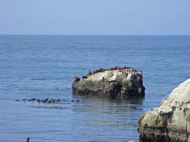 Pazifikk&uuml;ste beim Point Santa Cruz (9. Mai)