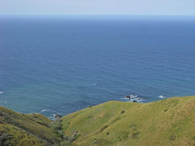 Pazifikk&uuml;ste zwischen Jenner und Fort Ross (11. Mai)