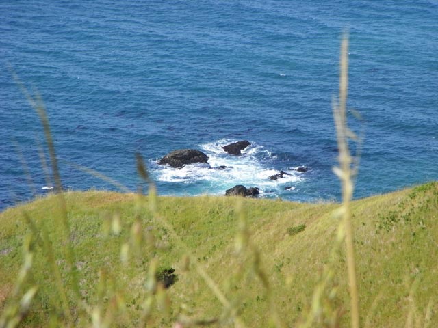 Pazifikk&uuml;ste zwischen Jenner und Fort Ross (11. Mai)