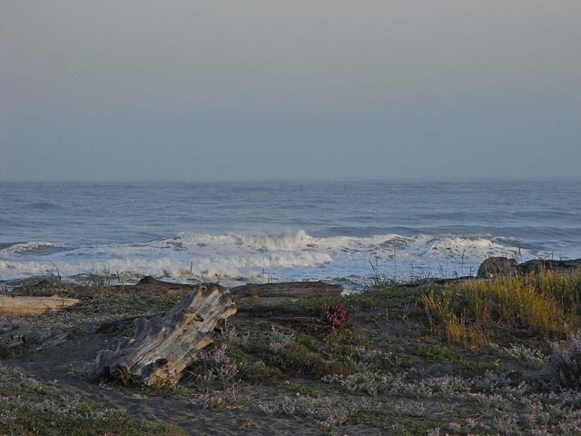 Pazifikk&uuml;ste beim Patricks Point (12. Mai)