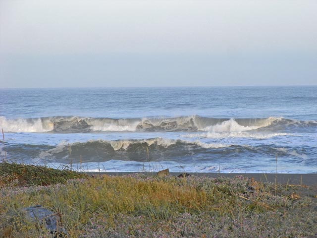 Pazifikk&uuml;ste beim Patricks Point (12. Mai)