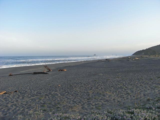 Pazifikk&uuml;ste beim Patricks Point (12. Mai)