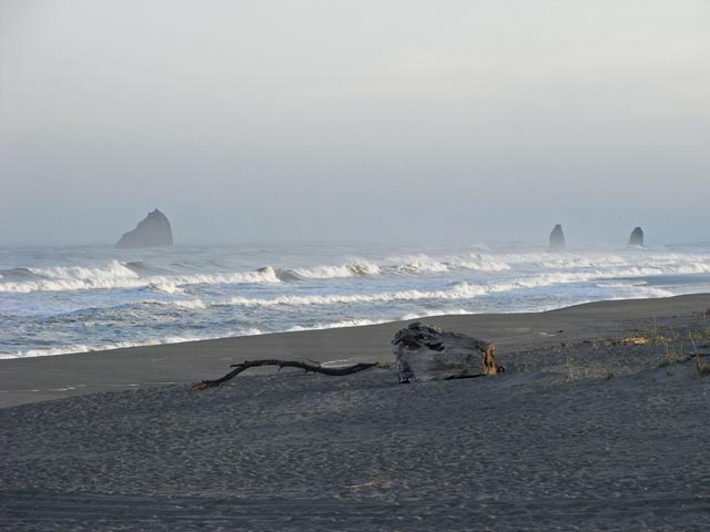 Pazifikk&uuml;ste beim Patricks Point (12. Mai)