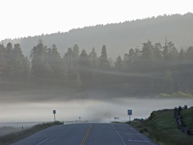 US 101 zwischen Patrick's Point und Orick (12. Mai)