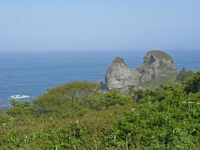 Footsteps Rocks im Del Norte Coast Redwoods State Park (12. Mai)