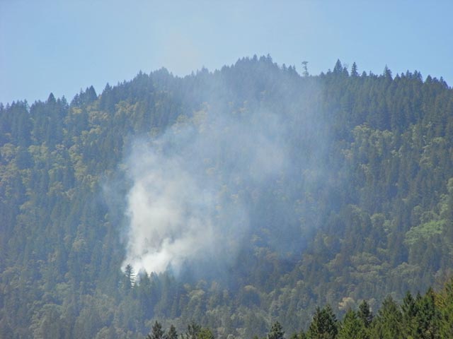 Trinity National Forest (12. Mai)