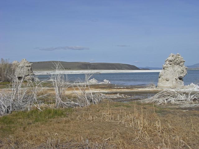Mono Lake (14. Mai)