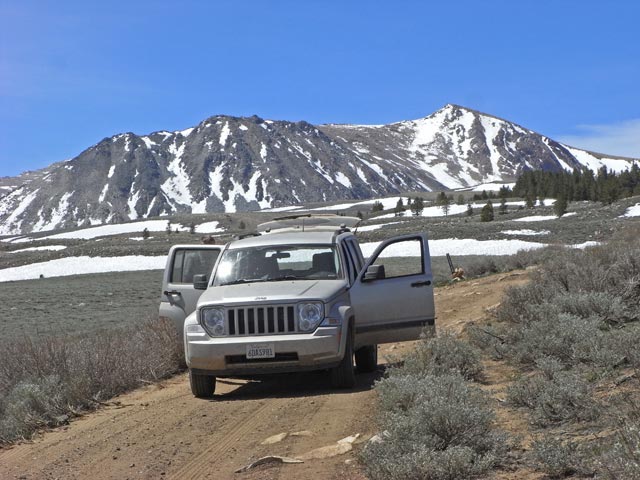 Coyote Flat Jeep Trail im Inyo National Forest (15. Mai)