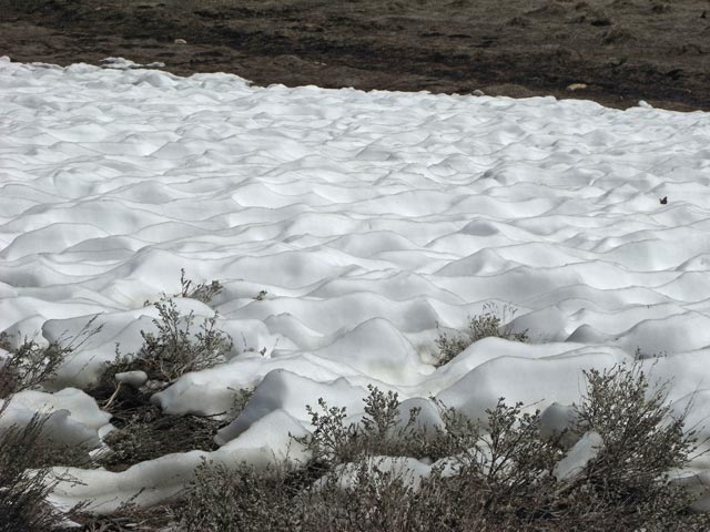 Coyote Flat im Inyo National Forest (15. Mai)