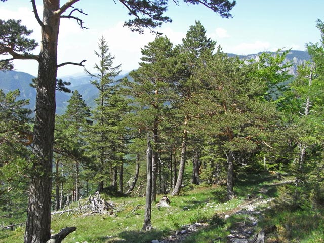 zwischen Praterstern und Wachth&uuml;ttlkamm