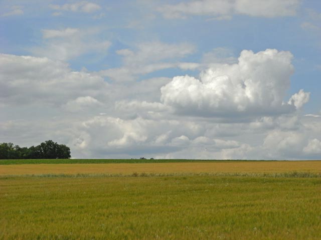 zwischen Niedersulz und Blumenthal